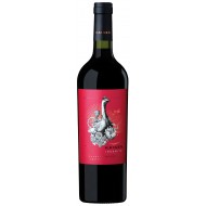 Argentinsk Rødvin wine bottle